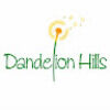 dandelion_hills